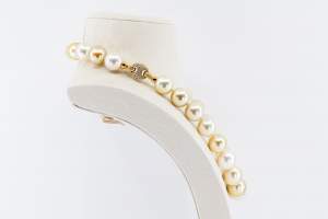 Collana girocollo perle australiane Prestige - Gioielleria Casavola Noci - idee regalo donne anniversario matrimonio - high end jewellry pearl - detail